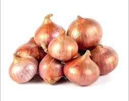 Mini Electric Silicone Face Brush image 3